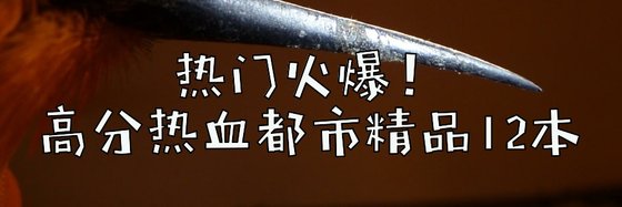 熱門火爆！高分熱血都市精品12本